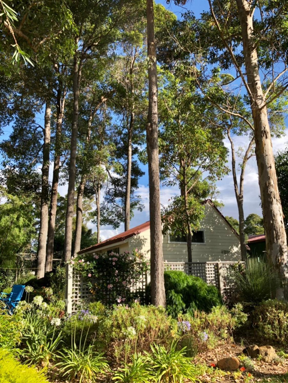 Ferienwohnung The Boulevard Garden Studio Margaret River Exterior foto